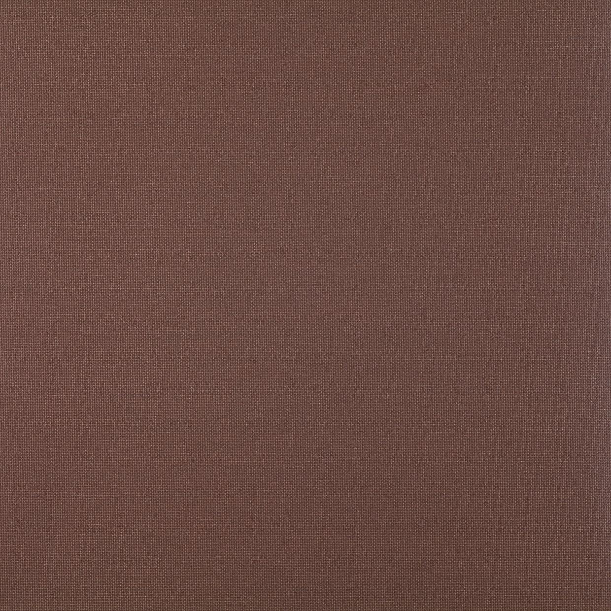 R31 marron